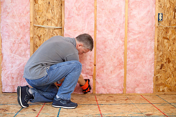 Best Eco-Friendly Insulation in Coalville, UT
