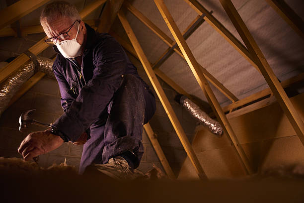 Best Specialized Insulation Services in Coalville, UT